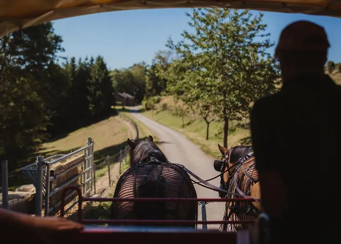 Otel Robbesscheier Munshausen