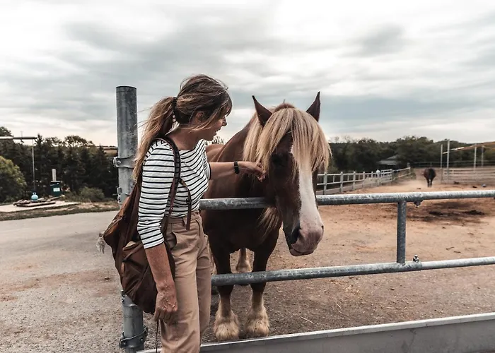 Otel Robbesscheier *