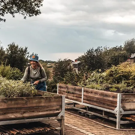 Robbesscheier * Munshausen