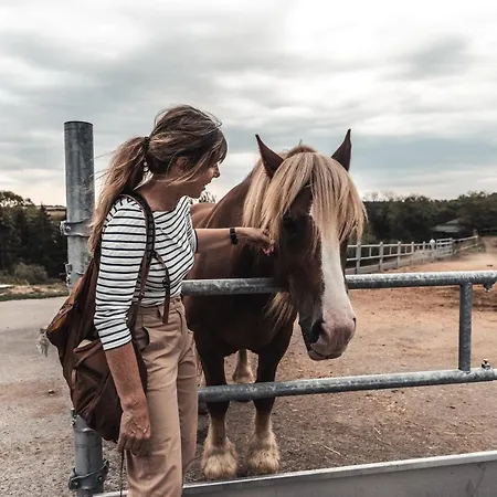 ホテル Robbesscheier *