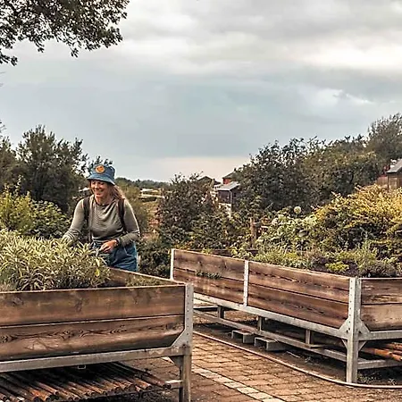Robbesscheier *