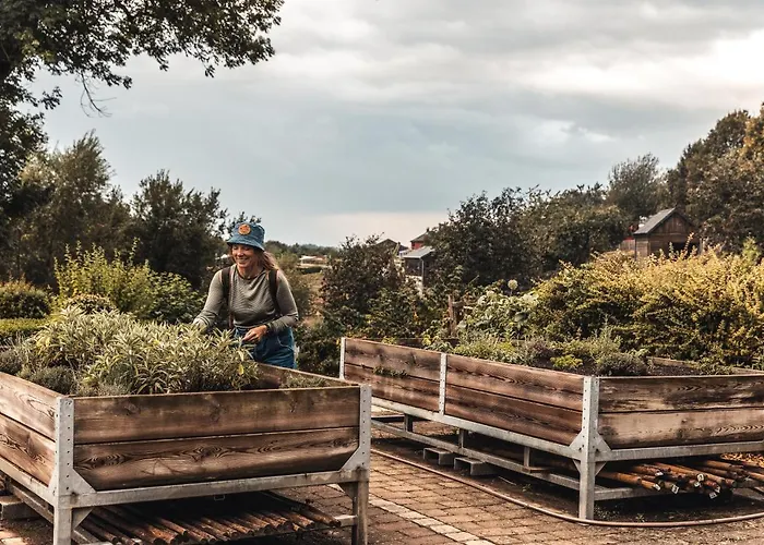 Robbesscheier * Munshausen